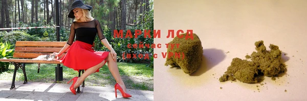 гидра Краснослободск
