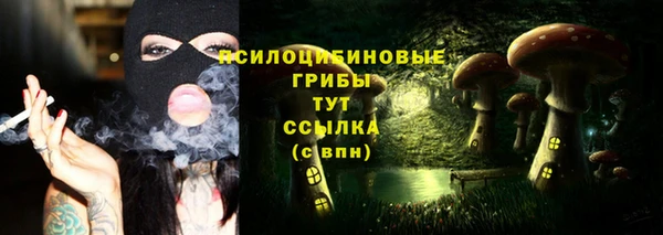 гидра Краснослободск