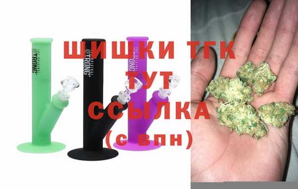 гидра Краснослободск