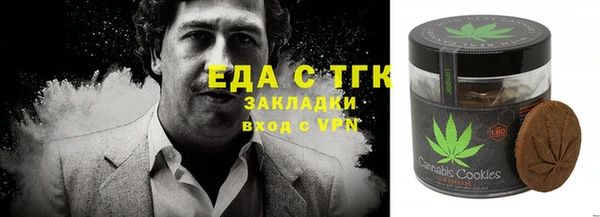 гидра Краснослободск