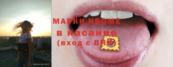 гидра Краснослободск