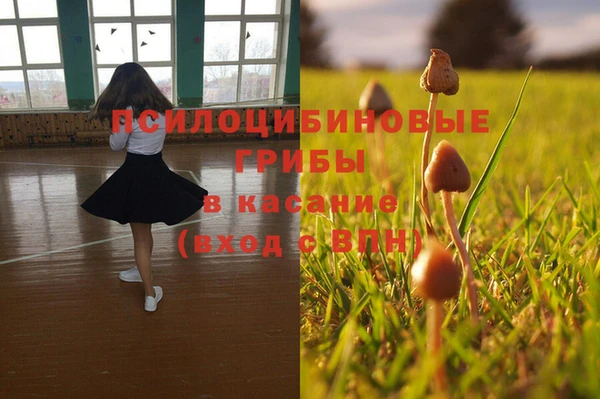 гидра Краснослободск