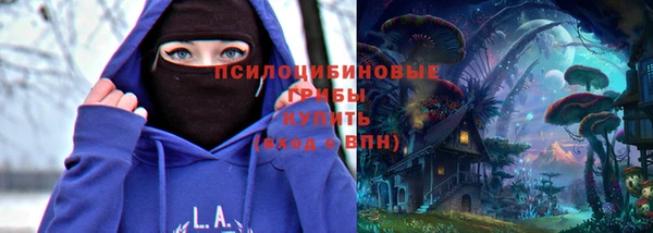 гидра Краснослободск