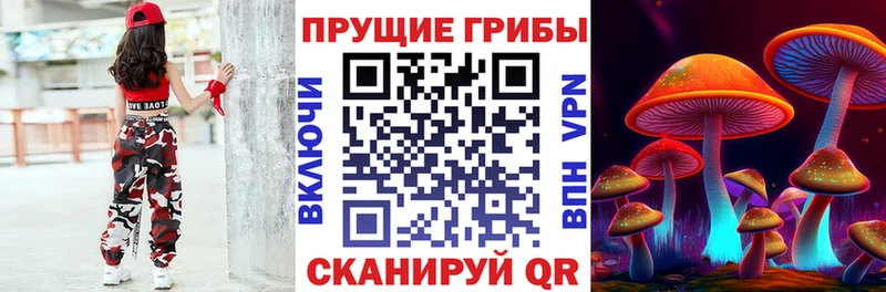 Купить где  Набережные Челны  Псилоцибиновые грибы мицелий 